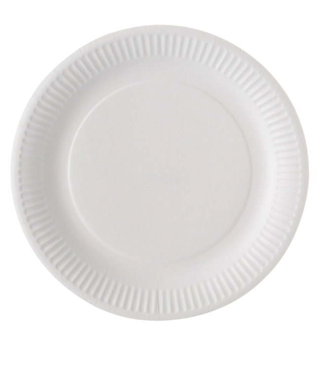 Assiettes en carton blanc 23 cm par 100