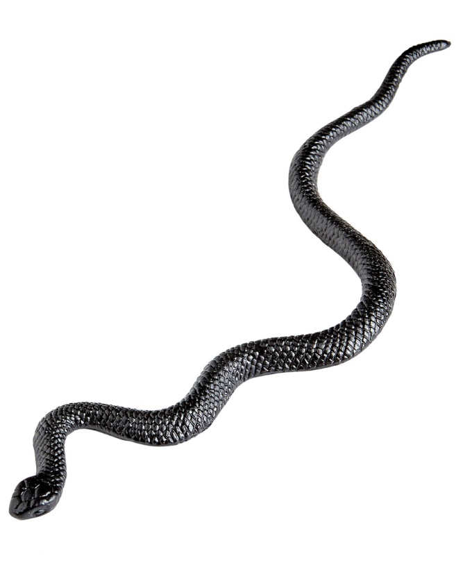 Serpents 12 cm par 12