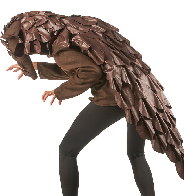 Déguisement pangolin adulte