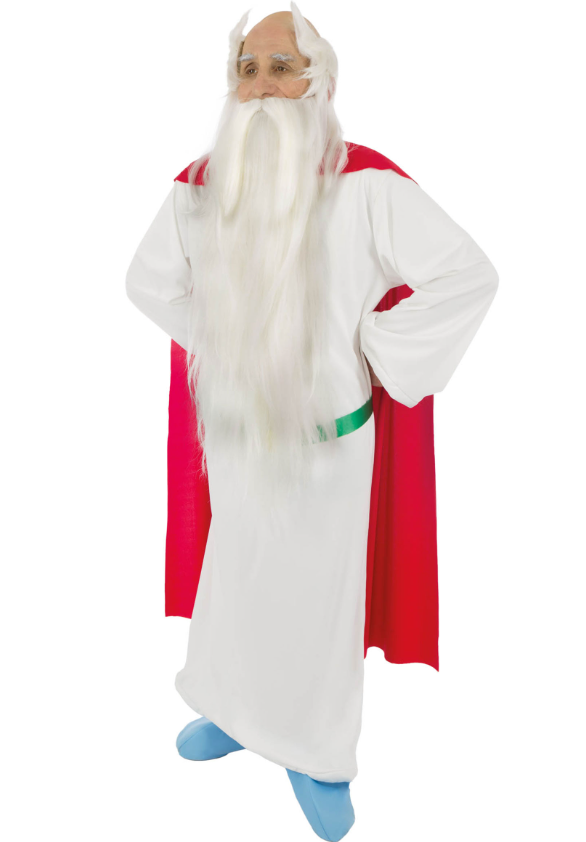 Déguisement druide Panoramix™ adulte - Astérix et Obélix