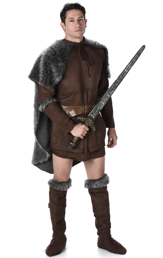 Déguisement prince viking homme