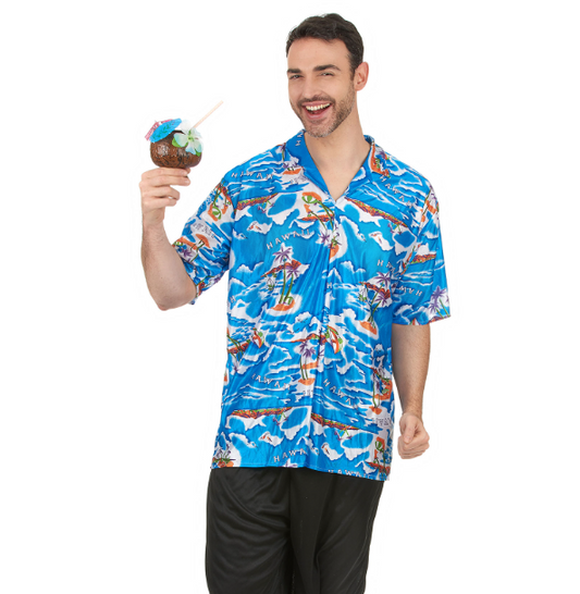 Déguisement touriste Hawaïen homme