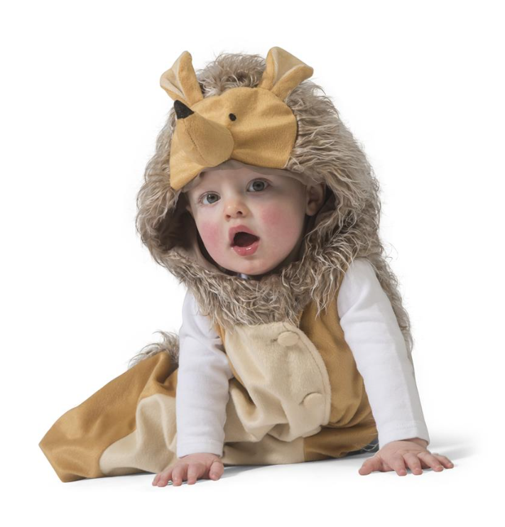 Déguisement hérisson