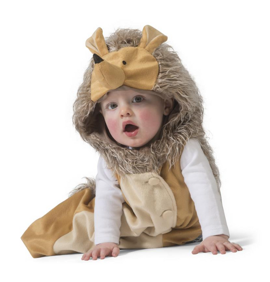 Déguisement hérisson