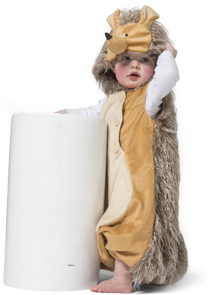 Déguisement hérisson