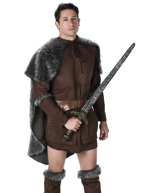 Déguisement prince viking homme